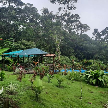 Upala Oski Lodge, Rain Forest Rincon De La Vieja المظهر الخارجي الصورة