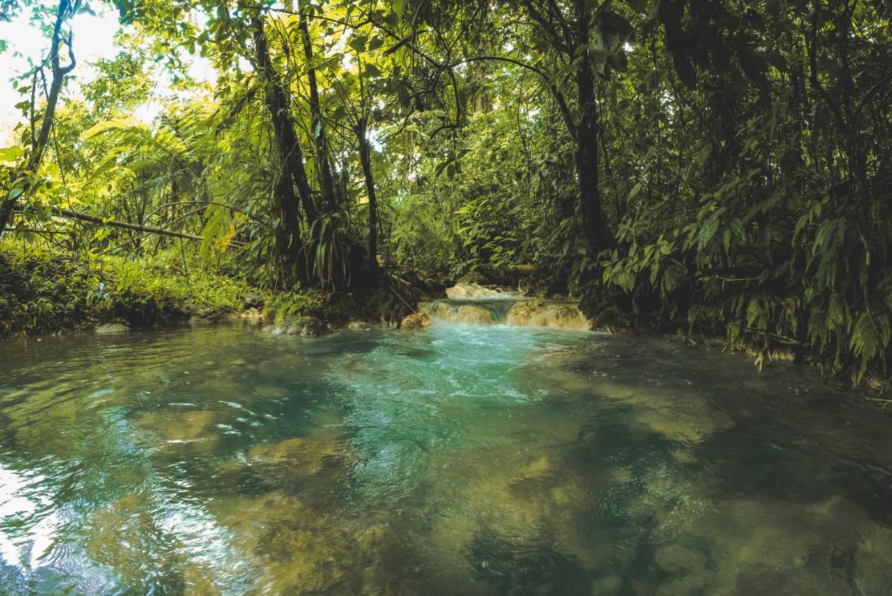 Upala Oski Lodge, Rain Forest Rincon De La Vieja المظهر الخارجي الصورة
