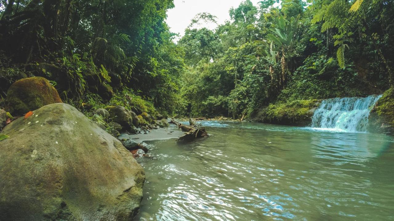 Upala Oski Lodge, Rain Forest Rincon De La Vieja المظهر الخارجي الصورة