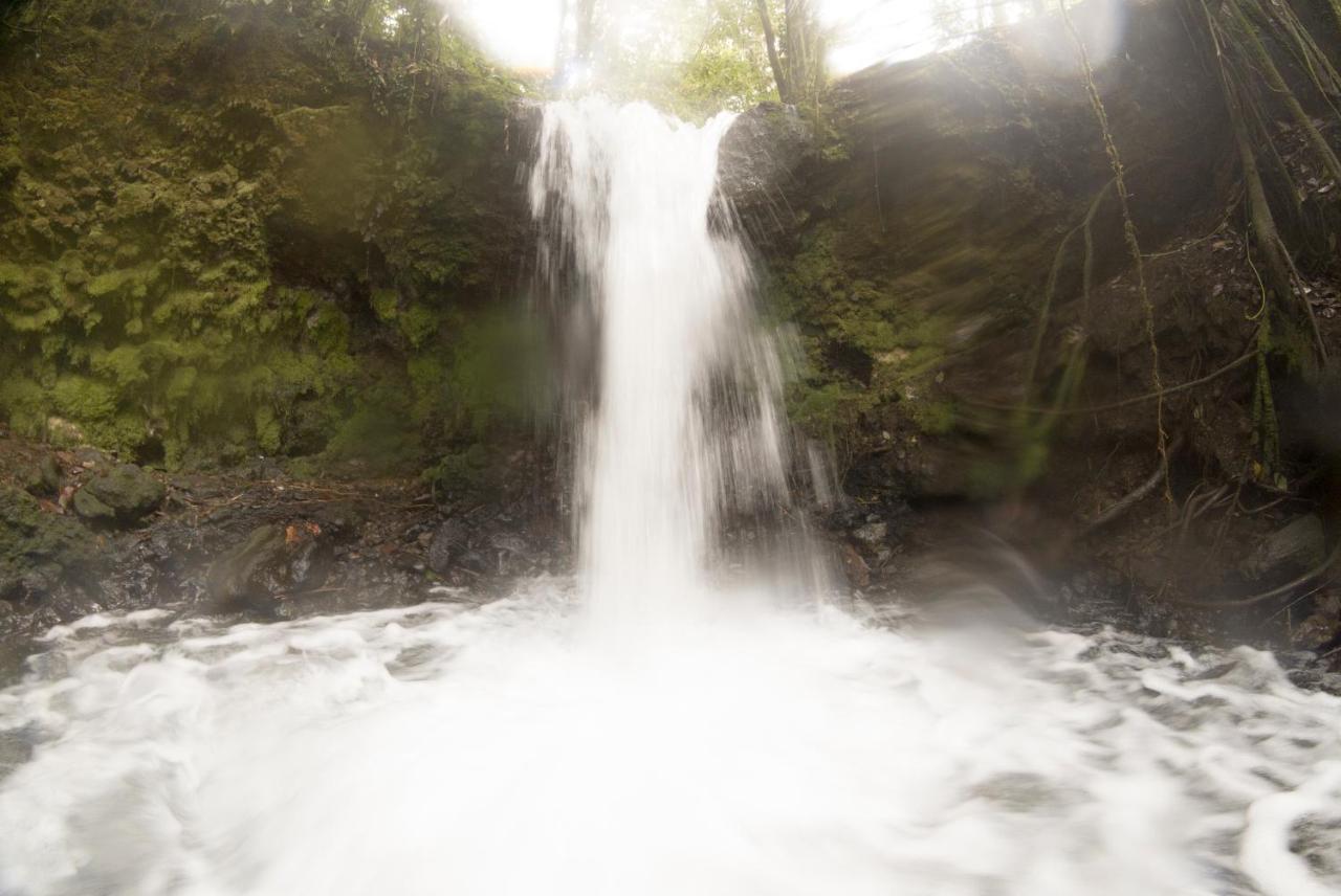 Upala Oski Lodge, Rain Forest Rincon De La Vieja المظهر الخارجي الصورة