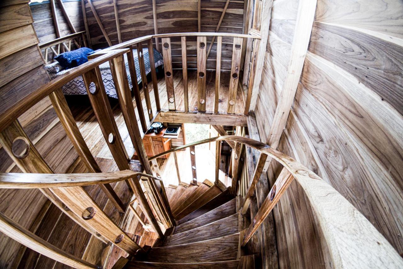 Upala Oski Lodge, Rain Forest Rincon De La Vieja المظهر الخارجي الصورة