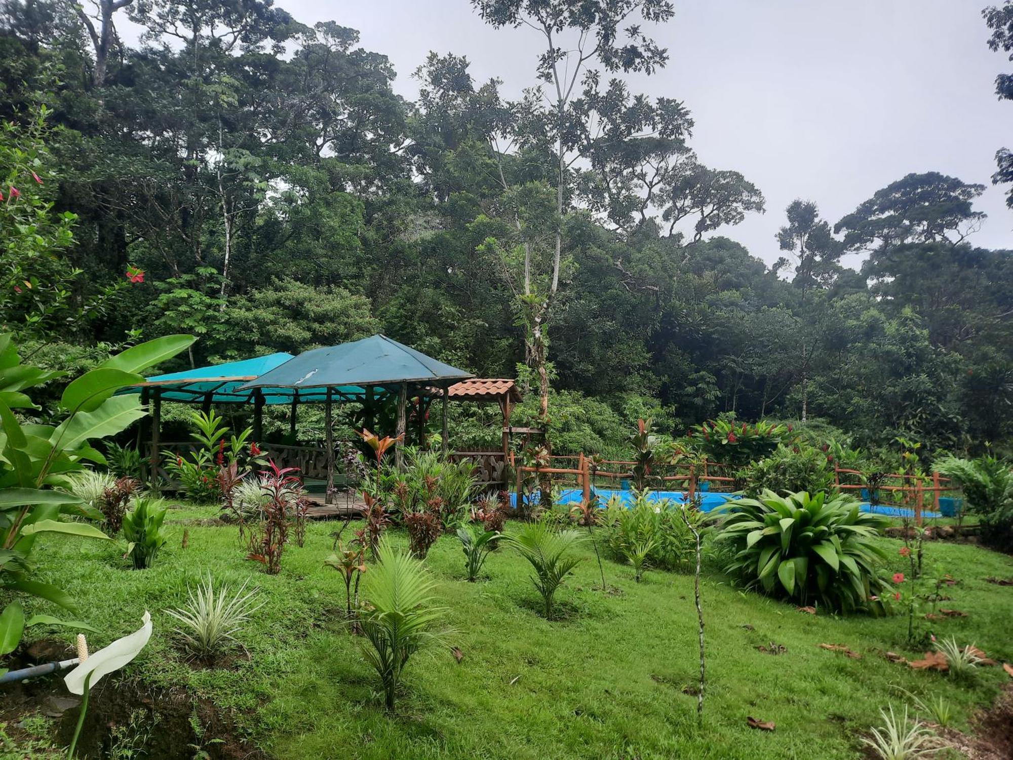 Upala Oski Lodge, Rain Forest Rincon De La Vieja المظهر الخارجي الصورة