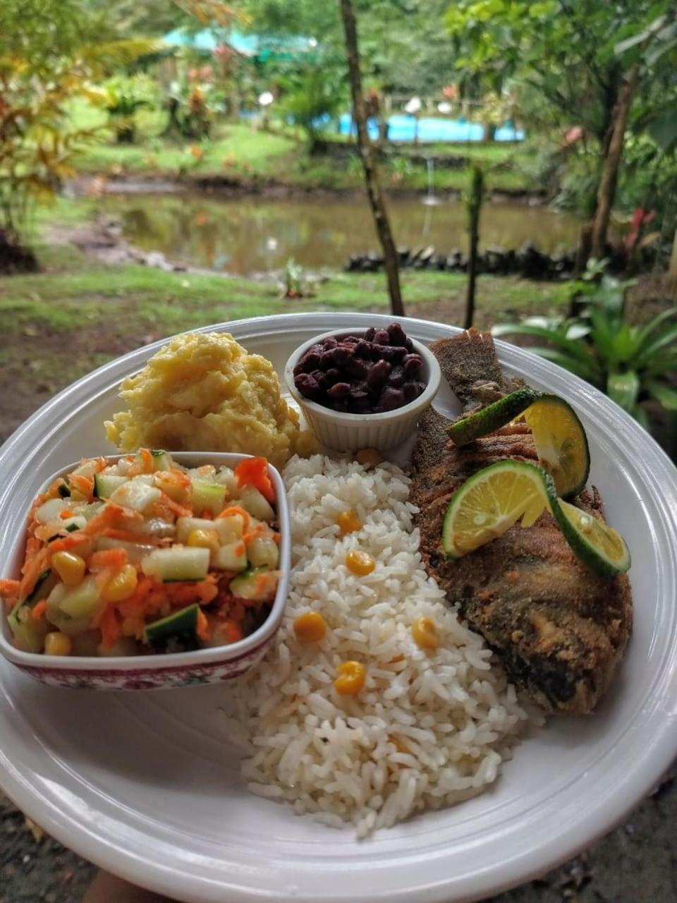 Upala Oski Lodge, Rain Forest Rincon De La Vieja المظهر الخارجي الصورة