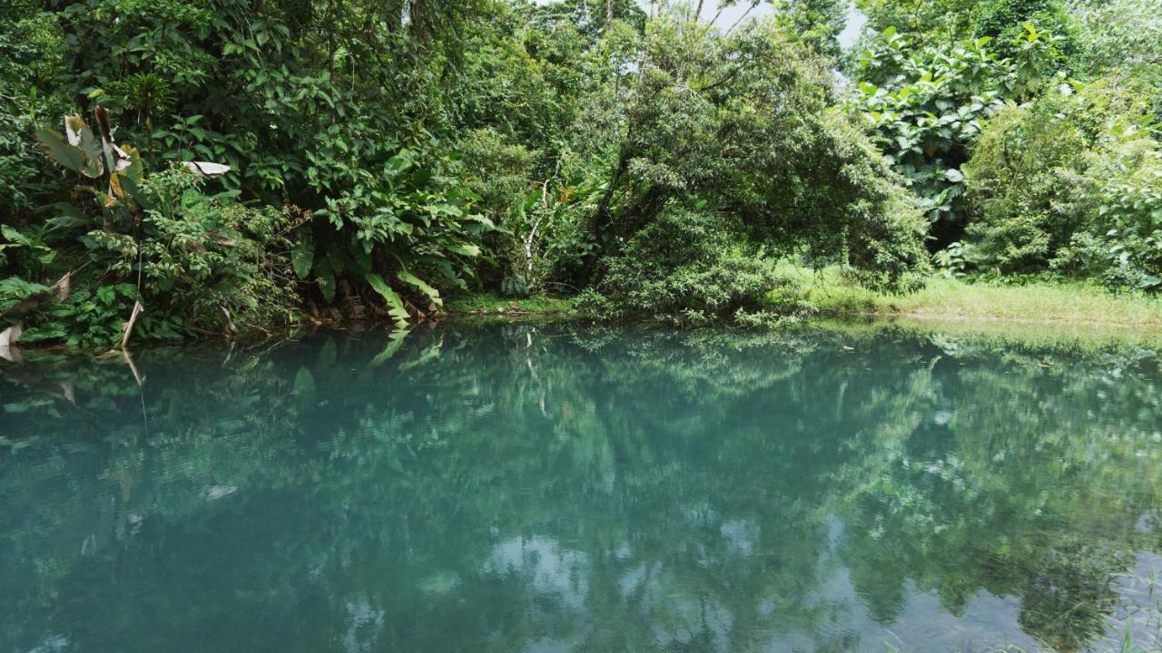 Upala Oski Lodge, Rain Forest Rincon De La Vieja المظهر الخارجي الصورة